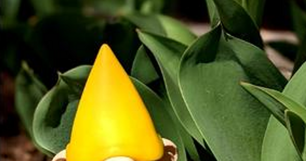 pol jardin gnome lycan 3d prestations service Télécharger libre stl modèle imprimablescom modèles Ménage Extérieur pot fleur nain jardinage intérieur 3d print model - Mito3D