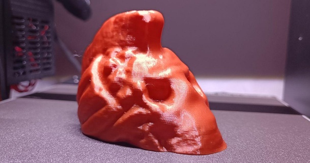 crânio moicano 3d limitação baixar livre stl modelo printablescom modelos arte Projeto esculturas ossos fotogrametria caveira cruzados 3d print model - Mito3D