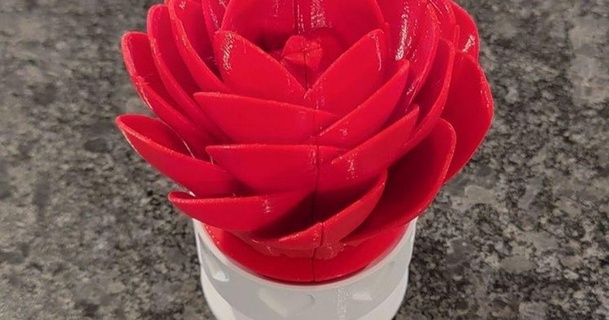 rosa fiorire pioppo tremulo Scarica gratuito stl modello printablescom 3d Modelli arte design disegni 3d print model - Mito3D