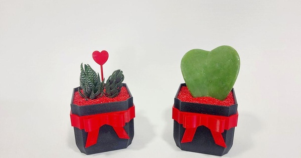love gift pot garden vessel download free stl model printablescom 3d models art & design designs box heart planter 3d print model - Mito3D