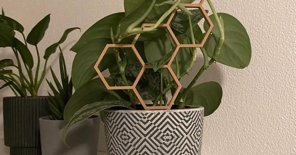 plant support trellis hexagon honeycomb 99 download free stl model printablescom 3d models household decor aid climbing 3d print model - Mito3D