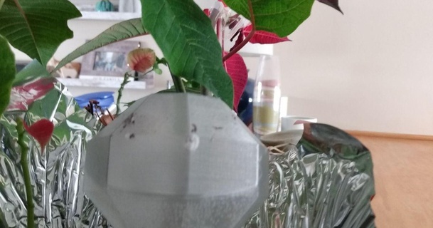 personalizzabile pianta irrigazione lampadina dan 3d stampa papà Scarica gratuito stl modello printablescom Modelli domestico Casa attrezzature regolare regolabile personalizzato 3d print model - Mito3D