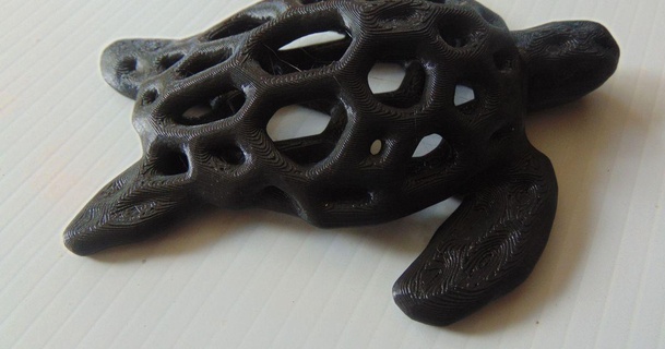 Voronoi estilo tartaruga padronizar norte 3d impressão Serviços baixar livre stl modelo printablescom modelos arte Projeto esculturas marinha 3d print model - Mito3D
