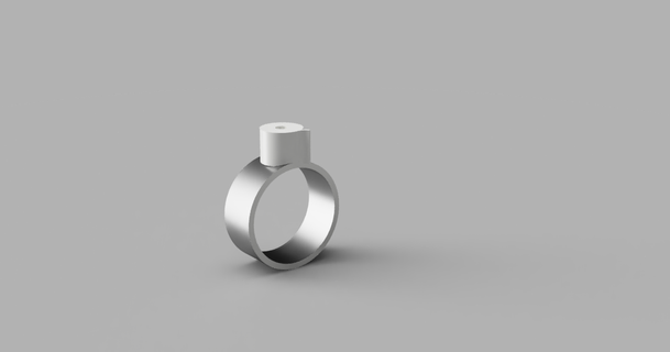 tollten parier ring erroxcoder download free stl model printablescom 3d models fashion accessories contest rings prusacontest2022 3d print model - Mito3D