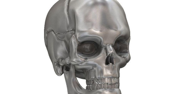human skull val download free stl model printablescom 3d models healthcare medical tools bone doc head science 3d print model - Mito3D