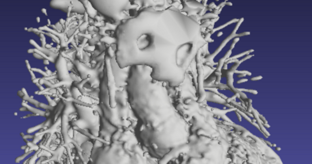 Humain cœur mihaitza Télécharger libre stl modèle imprimablescom 3d modèles apprentissage chimie biologie anatomie corps humain médical 3d print model - Mito3D