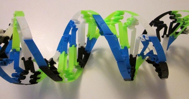 DNA conjunto brinquedos solto juntas ondaxx baixar livre stl modelo printablescom 3d modelos Aprendendo química biologia openscad paramétrico snapon 3d print model - Mito3D