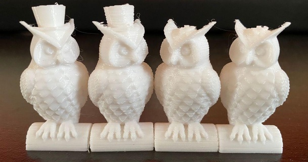pair owls anycubic i3 mega foxmckraut download free stl model printablescom 3d models printers test anycubici3megas owl 3d print model - Mito3D