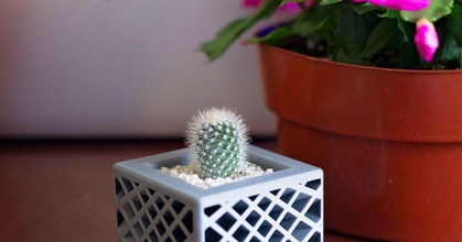 stella spettro fioriera tango creazioni Scarica gratuito stl modello printablescom 3d Modelli domestico all'aperto giardino cactus vaso piante scrivania 3d print model - Mito3D