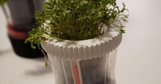 arrosage herbe récipient asynchrone Télécharger libre stl modèle imprimablescom 3d modèles Ménage cuisine 3d print model - Mito3D