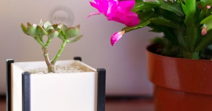 moderno cuadrado plantador caja tango creaciones descargar gratis stl modelo imprimiblescom 3d modelos casa aire libre jardín cactus maceta plantas escritorio 3d print model - Mito3D