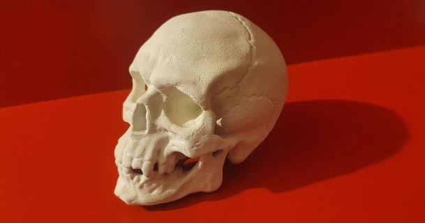 cranio barbabarbucha Scarica gratuito stl modello printablescom 3d Modelli costumi Accessori oggetti scena 3d print model - Mito3D