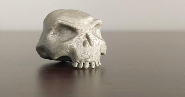sot crânio feio baixar livre stl modelo printablescom 3d modelos brinquedos jogos açao figuras estátuas esqueleto 3d print model - Mito3D
