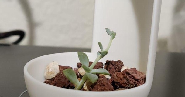Facile pot Instagram Télécharger libre stl modèle imprimablescom 3d modèles Ménage décor cactus maceta minimaliste 3d print model - Mito3D