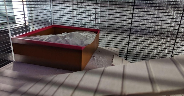 hamster areia caixa Cristóvão baixar livre stl modelo printablescom 3d modelos mundo varreduras animais banho 3d print model - Mito3D