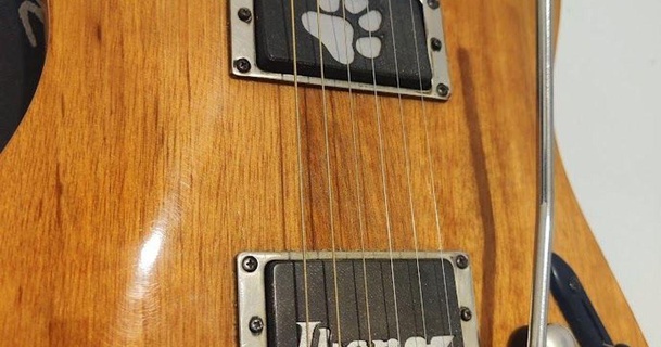 personalizable humbucker cubierta carcasa funda arcoiris descargar gratis stl modelo imprimiblescom 3d modelos pasatiempo hacedores música amperio guitarra ibanez 3d print model - Mito3D