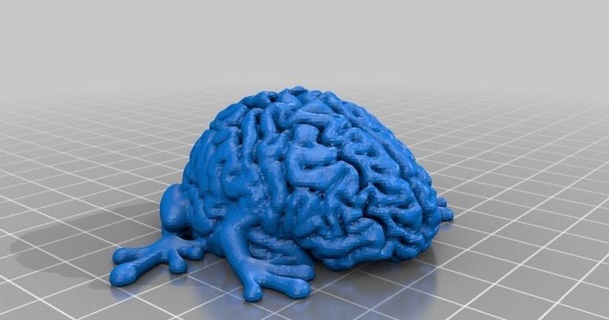 leaping brain flashhawk download free stl model printablescom 3d models art & design sculptures 3d print model - Mito3D