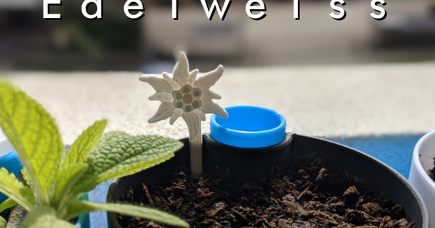 Edelweiss stevew91 descargar gratis stl modelo imprimiblescom 3d modelos casa aire libre jardín flor Suiza 3d print model - Mito3D