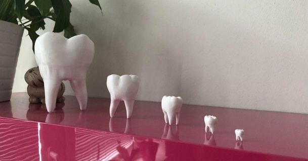 tooth andrew 3d print model - Mito3D