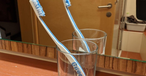 guests' toothbrush wusaweki joke 3d print model - Mito3D