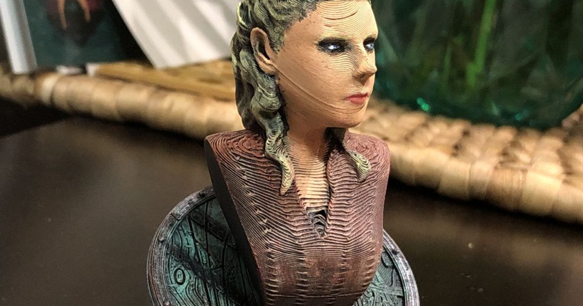 Lagertha vikings buste statue openfigure3d 3dprintviking dur cuire barbare personnage 3D print model - Mito3D