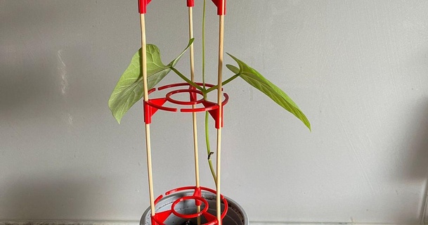 aufzucht Gitter pflanzhilfe Schwarzbock 3D Modelle Haushalt draussen Garten Pflanze Blumentopf Pflanzen 3d print model - Mito3D
