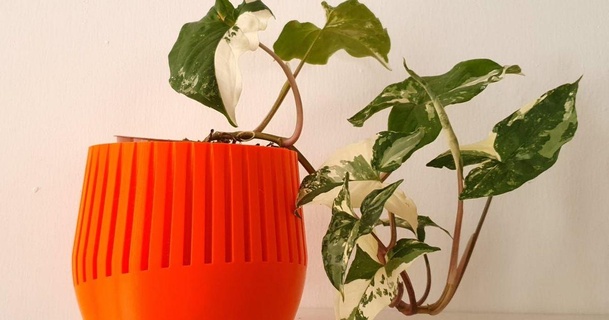 semplice fioriera simons 3D Modelli domestico all'aperto giardino vaso fiori impianti 3d print model - Mito3D