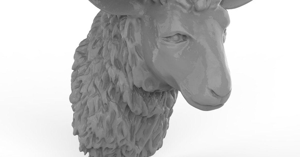 sheep head raphael 3D Models World & Scans Animals 3d print model - Mito3D