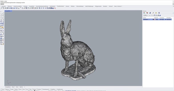 conejito 3d escanear raphael 3D modelos mundo escaneos animales 3d print model - Mito3D