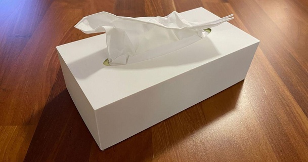 Gewebe Box Startseite Mantel taschentuch lle mr pr interessant 3D Modelle Haushalt Badezimmer Taschentuchspender Tissuebox kosmetik 3d print model - Mito3D