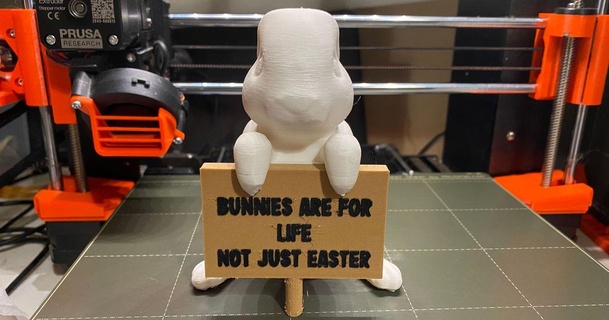 mew protest bunny easter edition markharris1989 3D Models Household Pets rabbit bunnies animalrights 3d print model - Mito3D