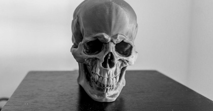 cráneo versión 11 flioink descargar gratis stl modelo imprimiblescom 3d modelos Arte diseño esculturas anatomía detallado humano masculino apuntalar 3d print model - Mito3D