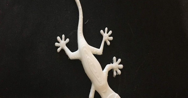 facile geco Jack 3D Modelli mondo scansioni animali thingiverse 3d print model - Mito3D
