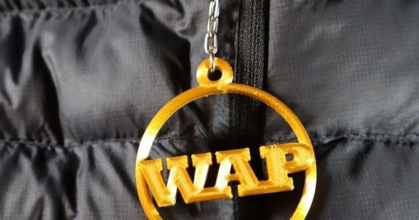 wap keyring electrosync 3D Models Fashion Other Accessories keychain thingiverse 3d print model - Mito3D