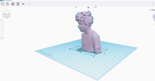Eric Vancouver 3dscan to shirtcom toshirtcom 3D modèles loisir fabricants idées chose universelle buste delhougne 3d print model - Mito3D