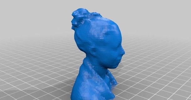 neila buste 3d toshirtcom 3D modelos passatempo fabricantes Ideias thingiverse 3d print model - Mito3D