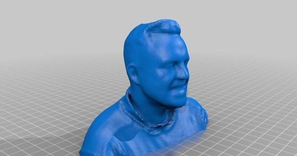 tocha buste 3d delhougne toshirtcom 3D modelos passatempo fabricantes Ideias thingiverse 3d print model - Mito3D
