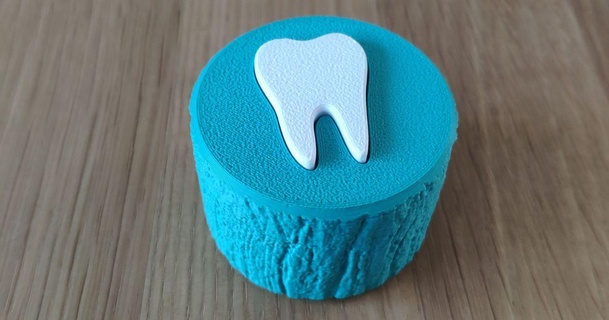 albero denti scatola farnsworth 3D Modelli gadget dente 3d print model - Mito3D
