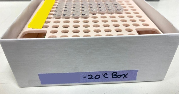 Zer Box einfügen 02 ml pcr Röhren Tube Streifen Matthew 3D Modelle Lernen Chemie Biologie 3d print model - Mito3D