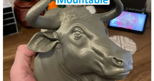 bull uwcharlie1983 3D Models World & Scans Animals wall head animal bust mount 3d print model - Mito3D