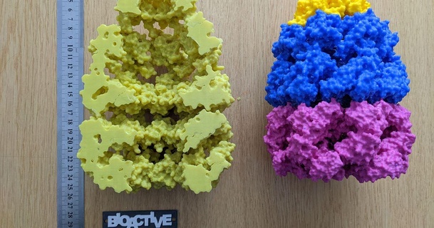 asymmetrisch Begleitperson Komplex Groel kreuzen Marius Glück 3D Modelle Lernen Chemie Biologie 3d print model - Mito3D