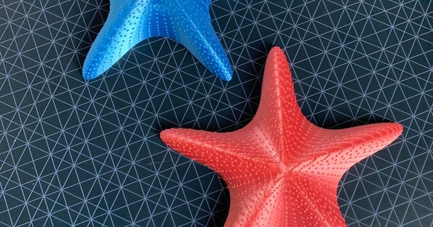 stella marina dajanka3d 3D Modelli arte design disegni mare 3d print model - Mito3D