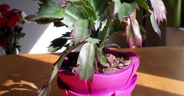 ringraziamento cactus pentola megaandy 3D Modelli domestico Casa attrezzature pianta succulenta vaso fiori thingiverse 3d print model - Mito3D