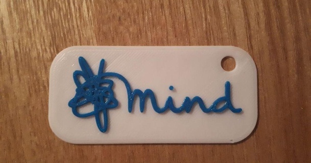 mind logo charity megaandy 3D Models Art & Design 2D Plates Logos keychain keyring thingiverse 3d print model - Mito3D