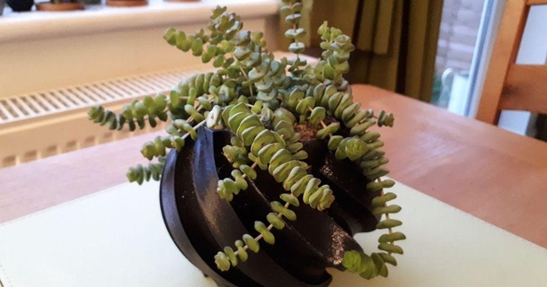 twisted plant pot megaandy 3D Models Household Other House Equipment planter plantpot thingiverse 3d print model - Mito3D