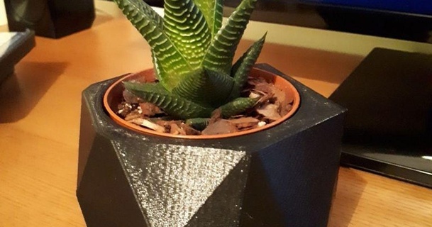 Basso poli pianta pentola megaandy 3D Modelli domestico Casa attrezzature lowpoly fioriera vaso impianti thingiverse 3d print model - Mito3D