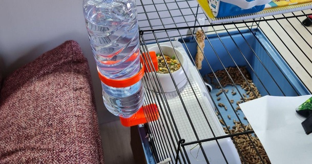 Hase Wasser Flasche marcvivet 3D Modelle Haushalt Haustiere Hase Wasserflasche feder 3d print model - Mito3D