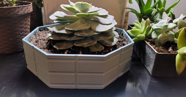 planta maceta flor mejores días 3D modelos casa aire libre jardín envase plantador 3d print model - Mito3D