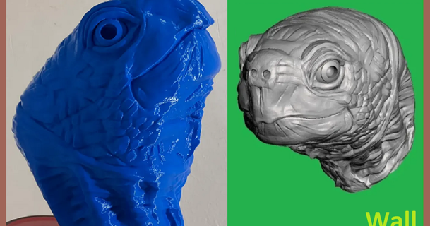 tartaruga uwcharlie1983 3D modelos mundo varreduras animais água animal cabeça fracasso 3d print model - Mito3D