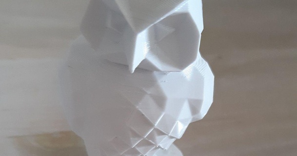 gufo Basso poli merlino 3D Modelli mondo scansioni animali 3d print model - Mito3D